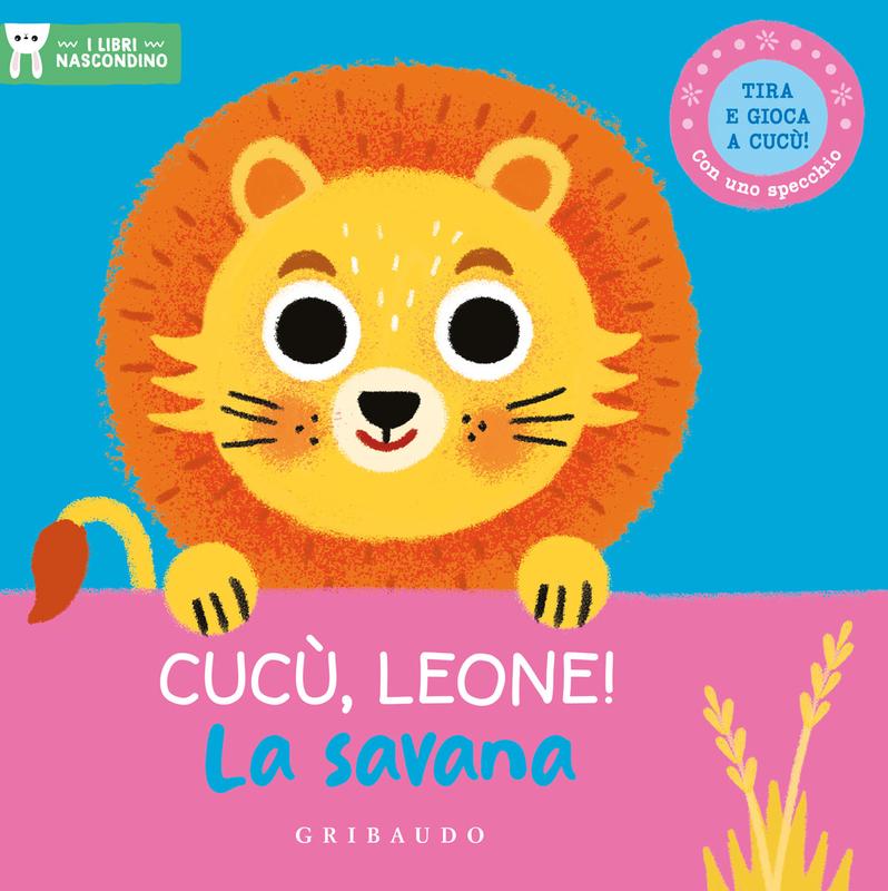 Cucù, leone! La savana