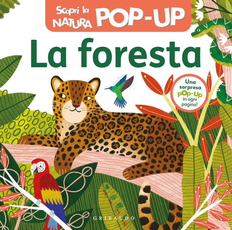 La foresta – Scopri la natura POP-UP