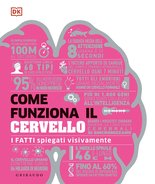 Come funziona il cervello